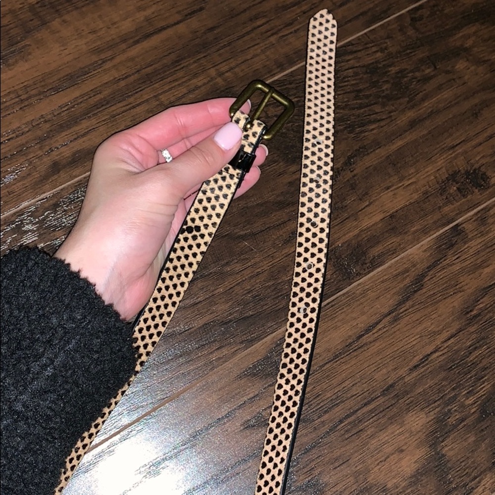 Anthropologie belt